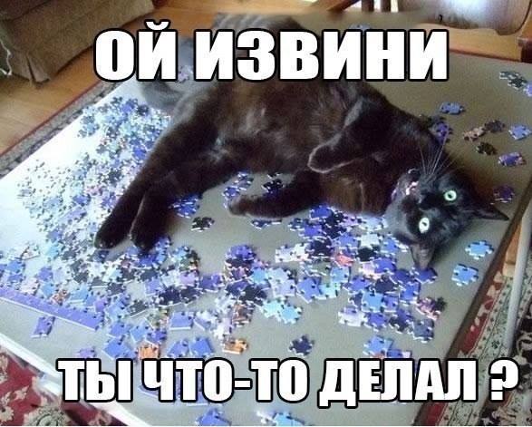 Неожиданная помощь кота