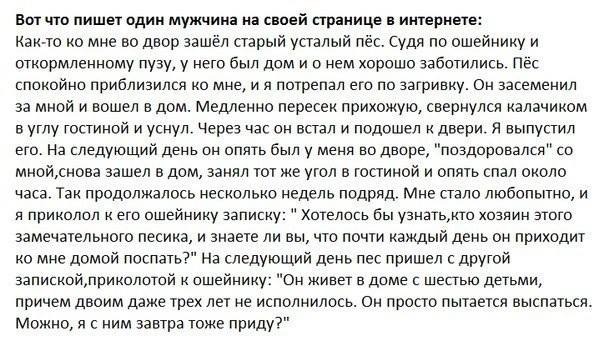 Милая история про собачку и записку