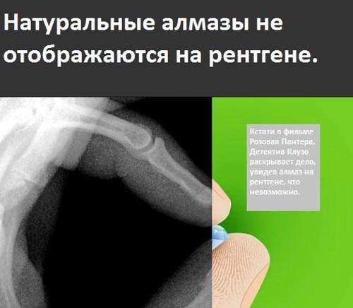 Интересные факты в картинках