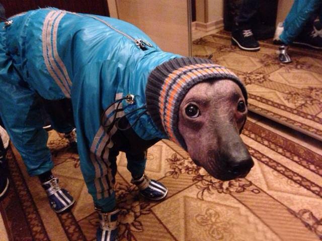 К олимпиаде в Сочи - готов!