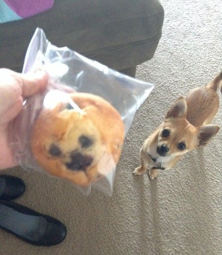 Нереальное сходство