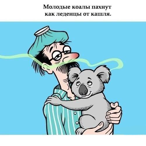 Прикольные факты о животных