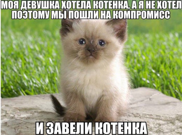 Всегда нужно идти на компромисс