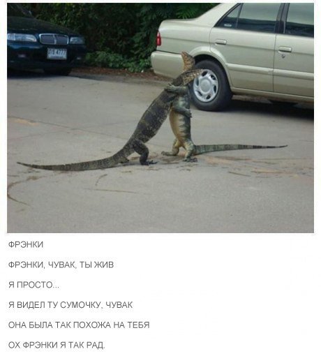 Фрэнк! Здорово чувак!