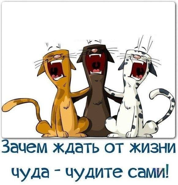 Милая картинка "Чудите"