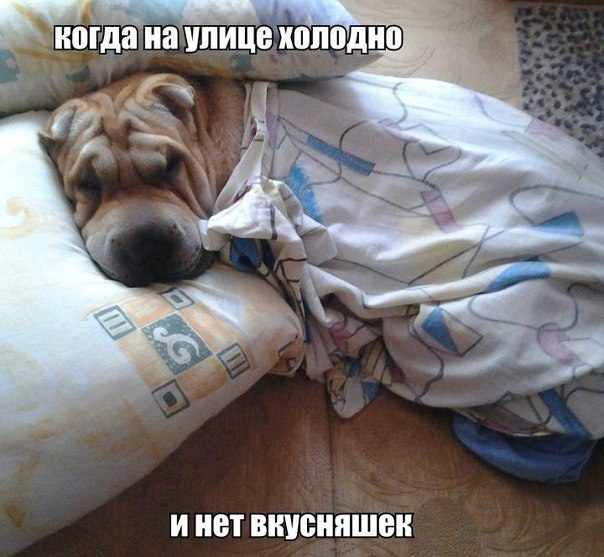 Когда совсем не хочется вставать