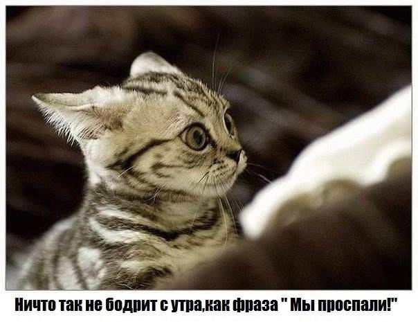 Блин, опять проспал!!