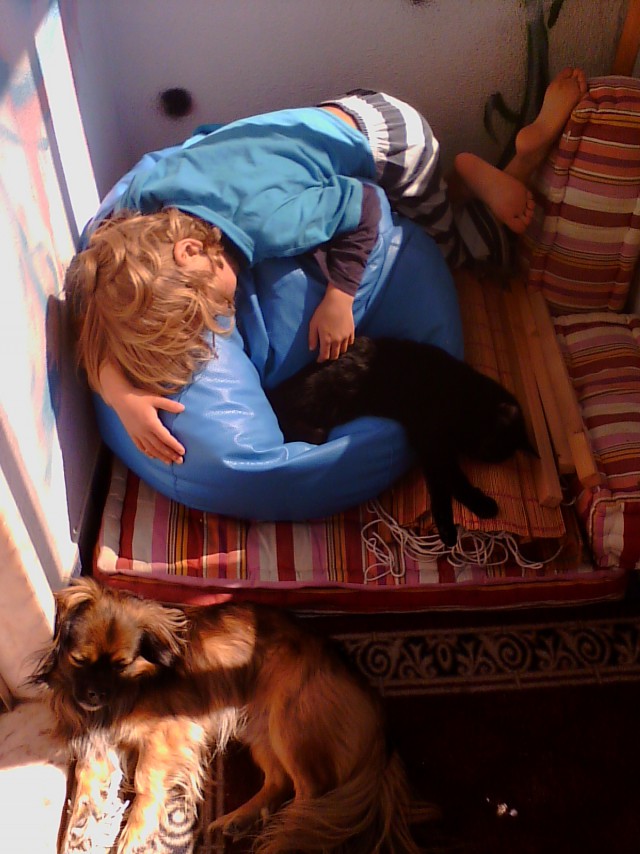 спят усталые зверюшки