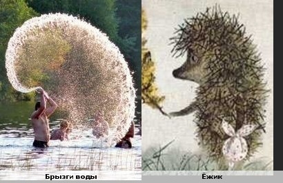 Смешные сходства