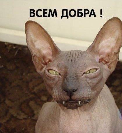 Этот день будет ну очень добрым