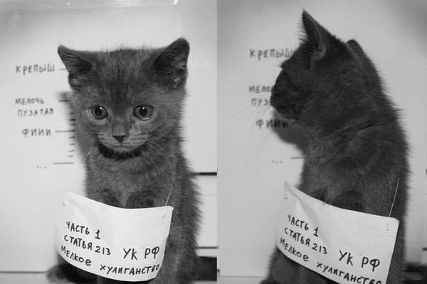 Я так больше не буду, честное слово