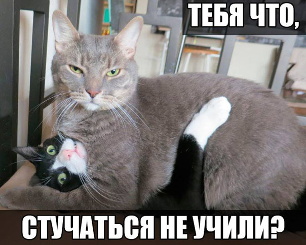 Выйди! И закрой двери с обратной стороны