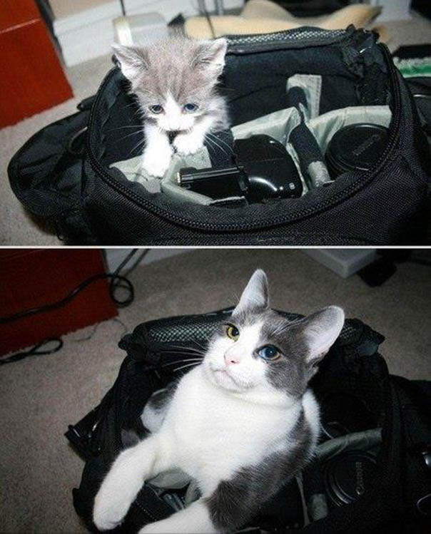 Милая подборка "Друзья растут вместе с нами"