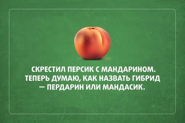 Позитивные картинки с текстом