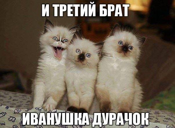 Всегда найдется друг, кто испортит фото