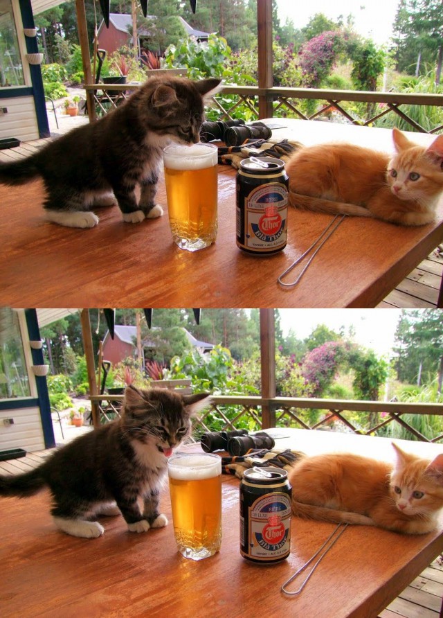 Какая гадость, это ваше пиво!