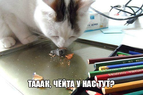 Хозяин, чего смеешься?