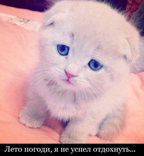 Лето, давай помедленнее