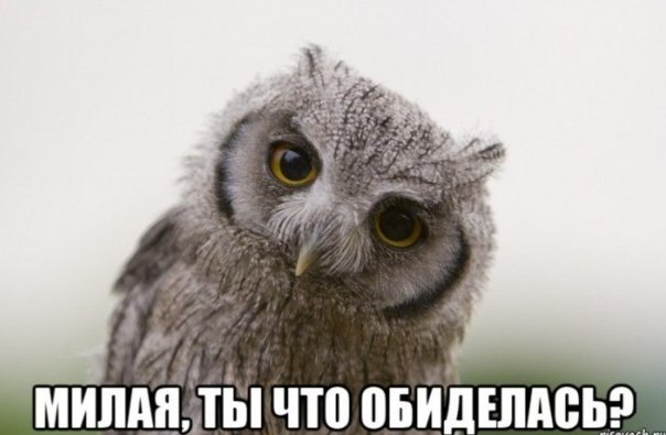 Разговор с любимой