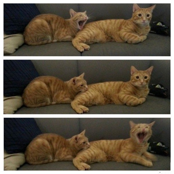 Эстафету сдал, эстафету принял