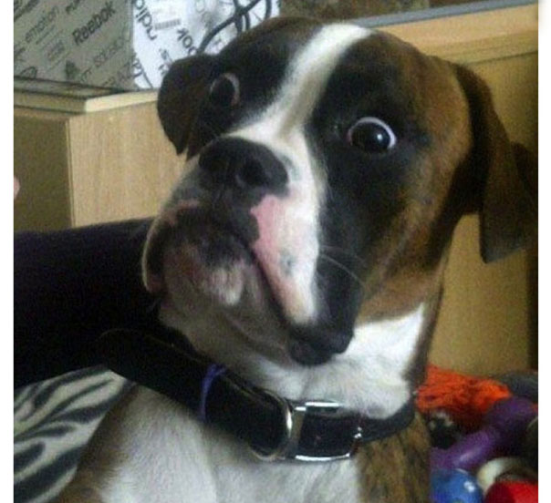 Позитивные фото с няшками