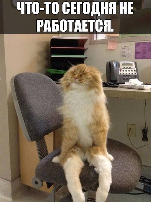 Что-то работать совсем не хочется