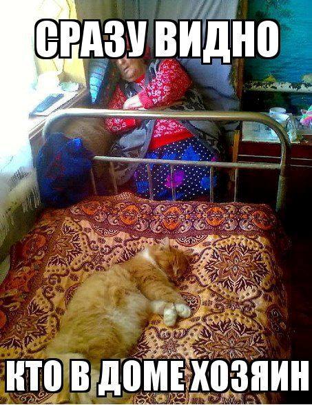 Главный парень на селе