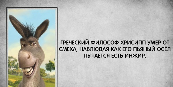 Подборка интересных факторов