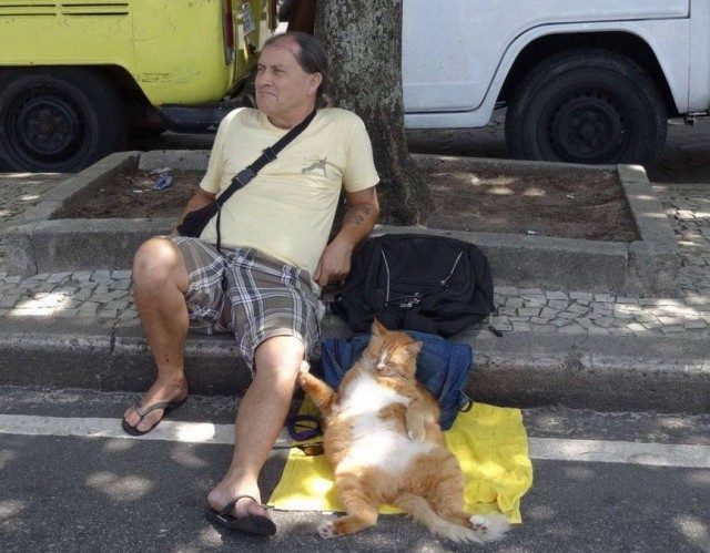 Отдам в хорошие руки...рост 178см вес 95..не пьет, не курит..мяу..