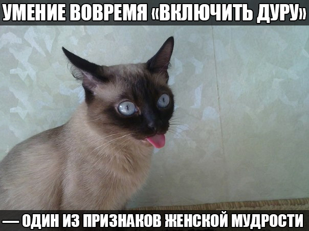 Картинка про женскую мудрость