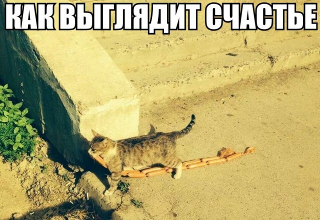 Счастье в наших зубах