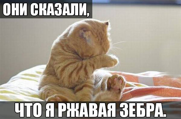 Они сказали, что я ржавая зебра