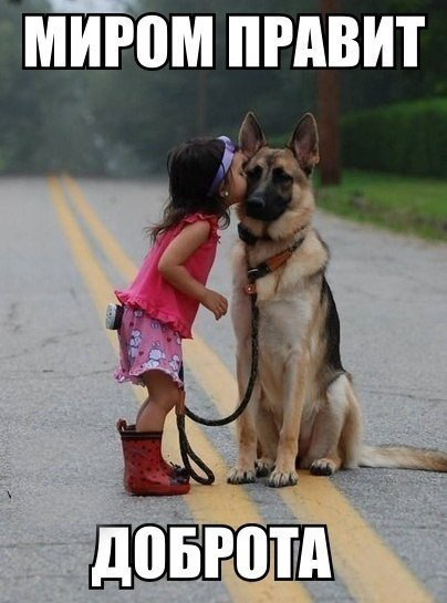 Миром правит доброта
