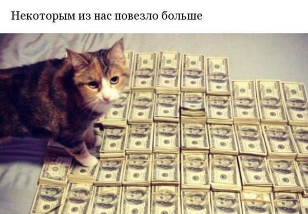 Животные похожи на людей