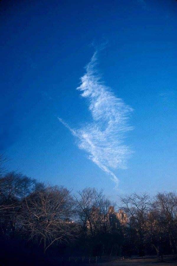 Дух Хэллоуина