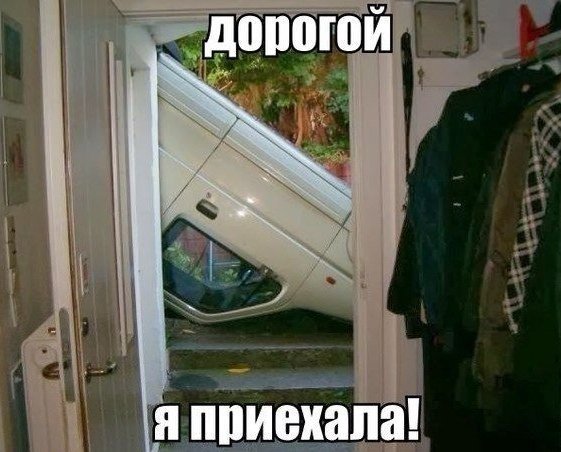 Дорогой, я вернулась