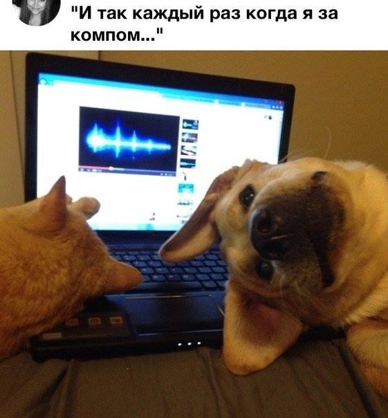 В компании самых близких