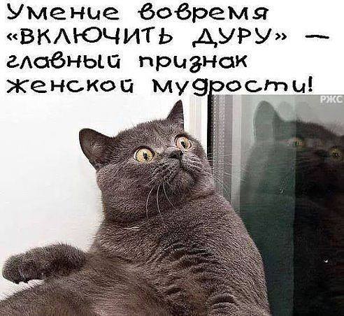 Картинка про женскую мудрость