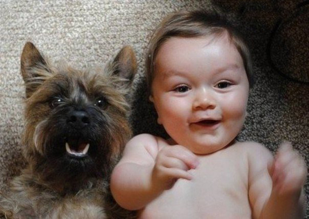 Милые малыши и их четвероногие друзья