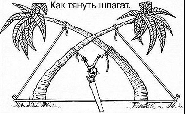 Эффективный способ сесть на шпагат