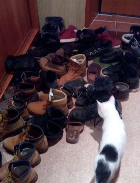 О мама миа, итальяно писсуаро!