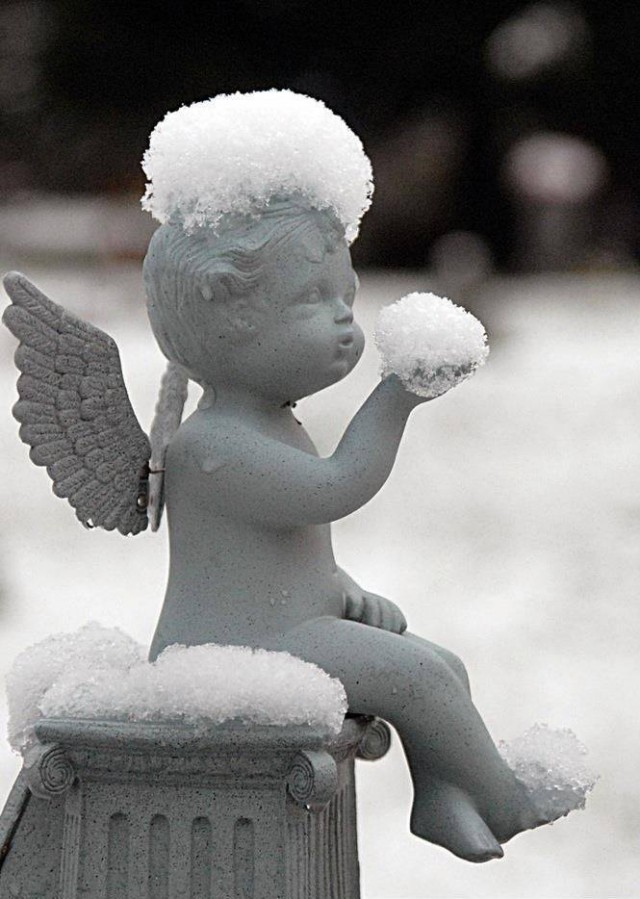 Удачный кадр. Ангелочек и снег