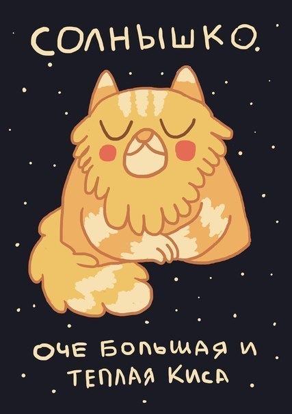 Космические котики