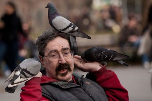 Веселая жизнь