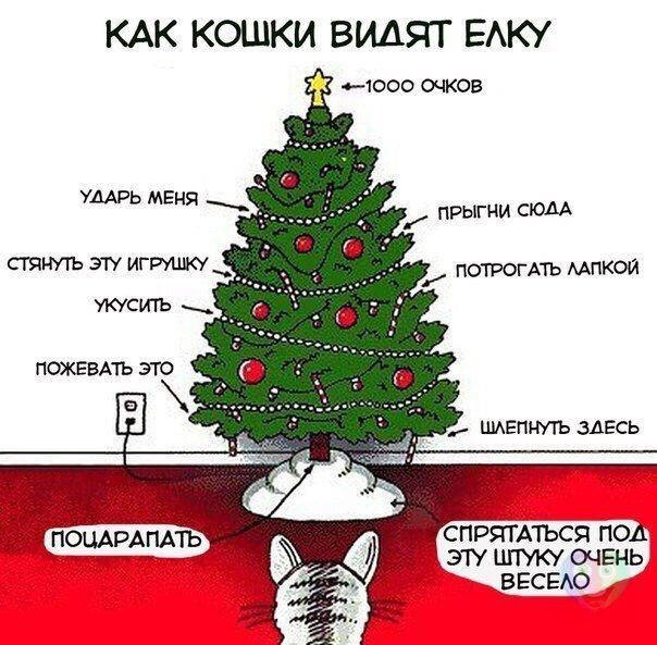 Как кошки видят елку