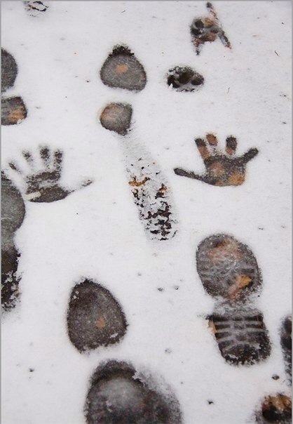 2 января. Дорога домой..