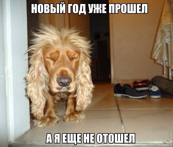 Новый год уже прошел...