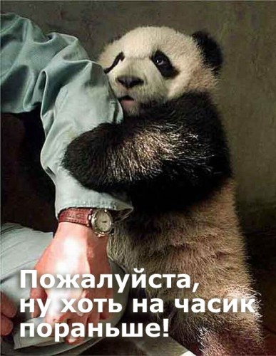 Насяльник...