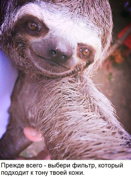 Советы "Как сделать идеальное селфи"