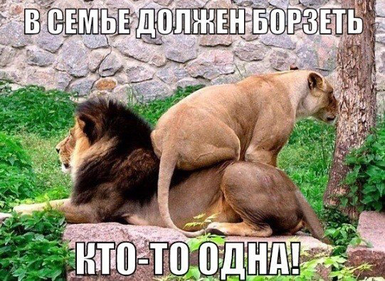 В семье борзеть должен кто-то одна